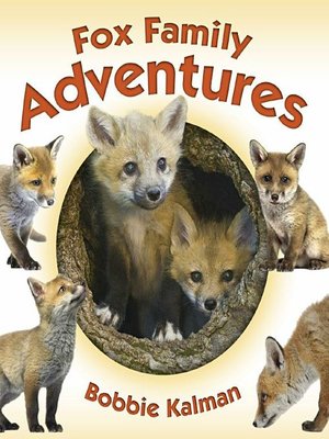 cover image of Fox Family Adventures